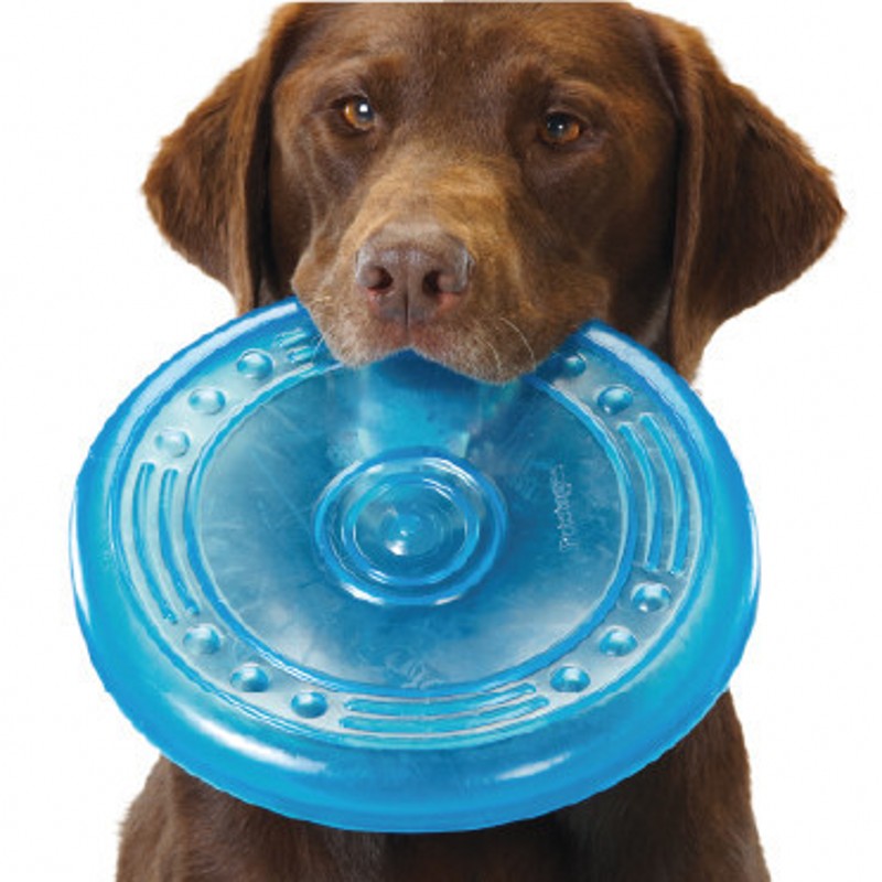 Pet Flying Saucer - Outdoor Makeshift Pet Bowl