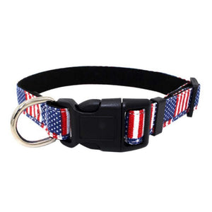 America Flag Dog Collar II