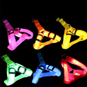 Pet Safety LED Harness