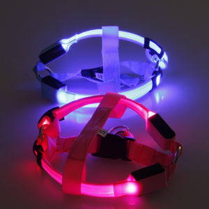 Pet Safety LED Harness