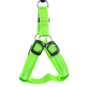 Pet Safety LED Harness