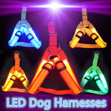 Load image into Gallery viewer, Pet Safety LED Harness