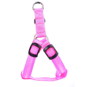 Pet Safety LED Harness