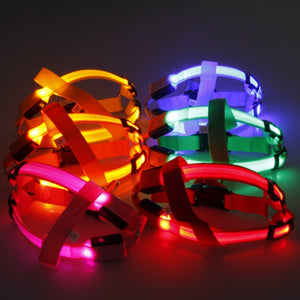 Pet Safety LED Harness