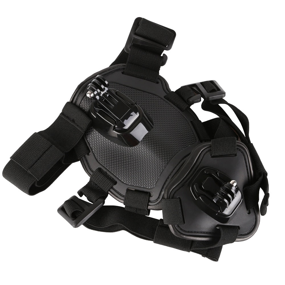 Dog's Camera Harness