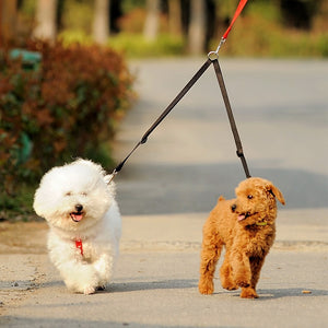 Walk 2 Two Dogs; Twin Lead Walking Leash